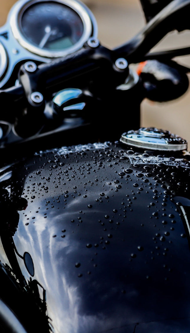 WASH&WHIPS MotoPro Motorcycle Detailing Kit - Bug Remover, Leather Care, Ceramic Spray