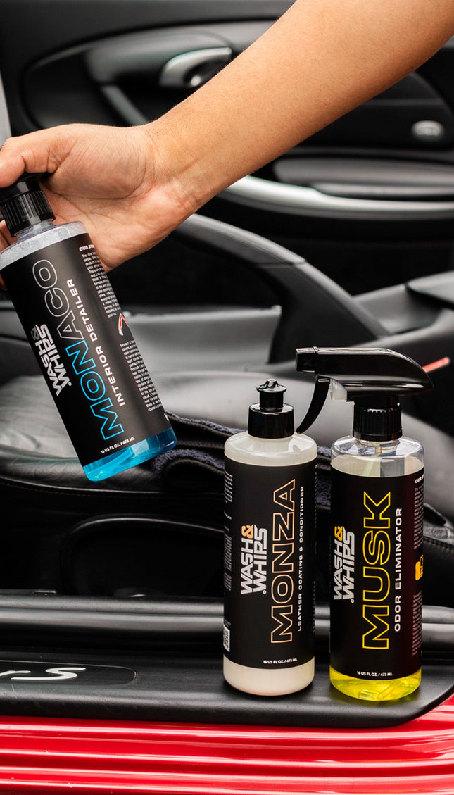 WASH&WHIPS Quick Detailing Pro Kit for Auto Detailing - 16-Piece Complete Car Care Set