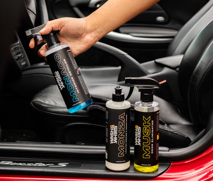 WASH&WHIPS Quick Detailing Pro Kit for Auto Detailing - 16-Piece Complete Car Care Set