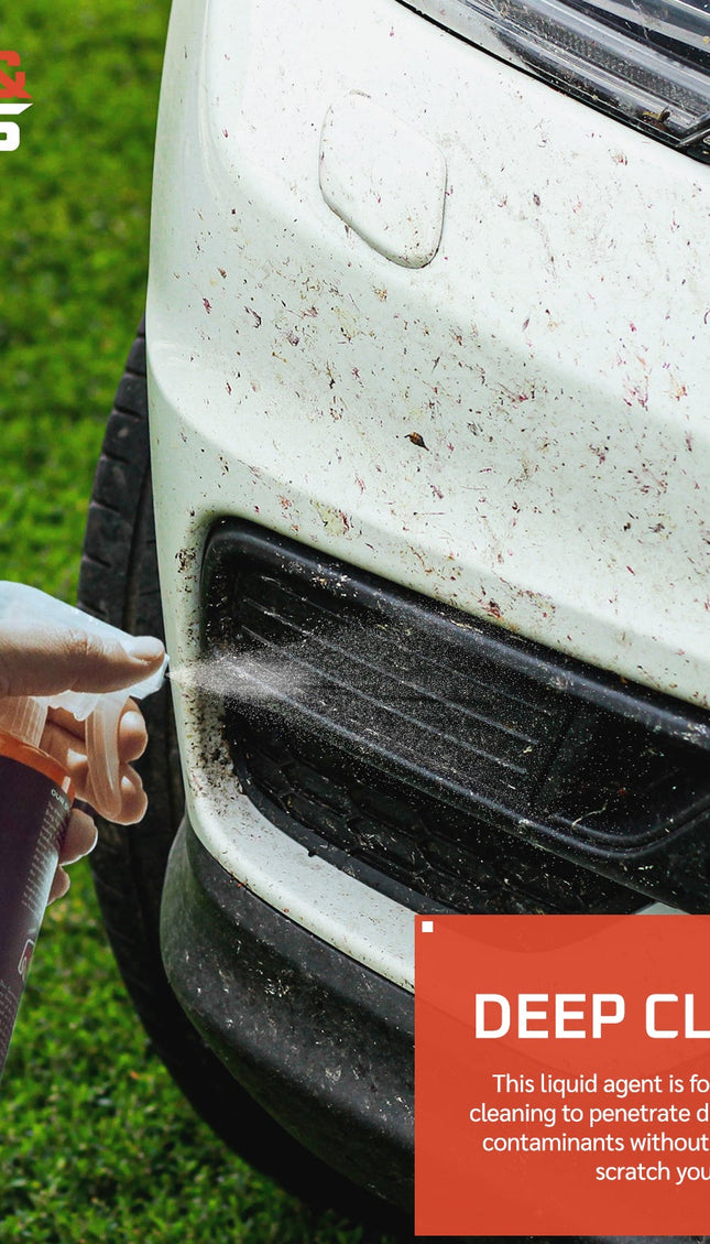 WASH&WHIPS Hockenheim Insect & Bug Removal