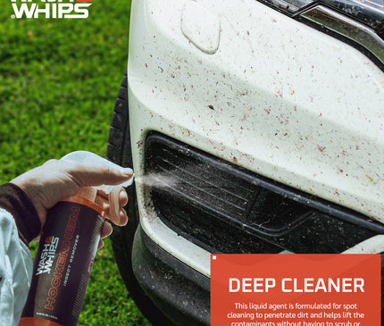 WASH&WHIPS Hockenheim Insect & Bug Removal
